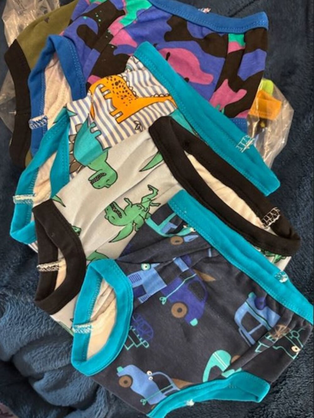 New: Boys 2T underwear